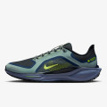 Nike Pantofi Sport AIR ZM PEGASUS 41 GTX