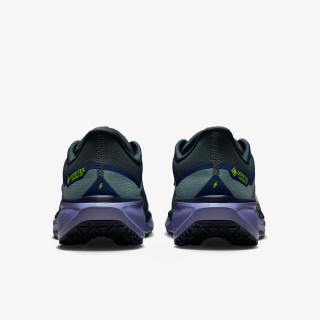 Nike Pantofi Sport AIR ZM PEGASUS 41 GTX