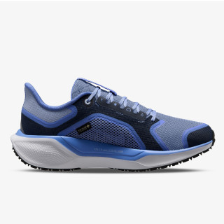 Nike Pantofi Sport W AIR ZM PEGASUS 41 GTX 