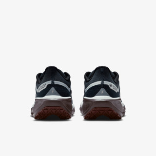 Nike Pantofi Sport W AIR ZM PEGASUS 41 GTX 
