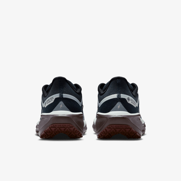 Nike Pantofi Sport W AIR ZM PEGASUS 41 GTX 