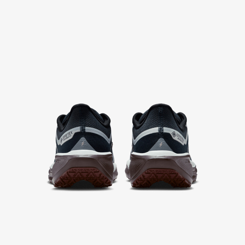 Nike Pantofi Sport W AIR ZM PEGASUS 41 GTX 