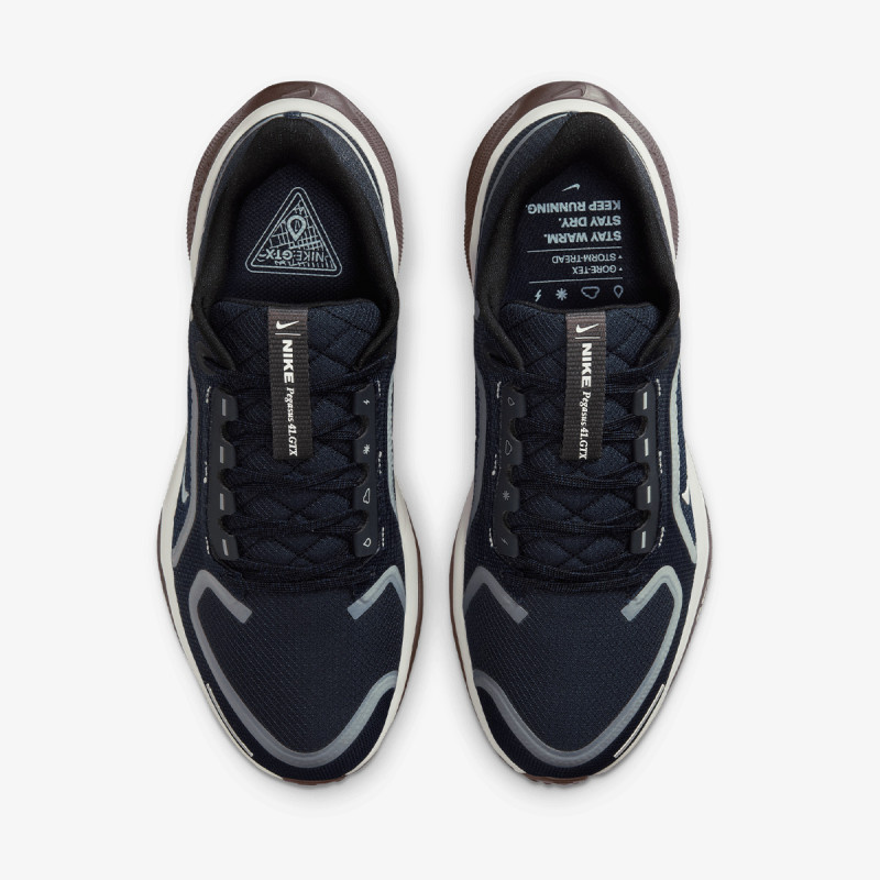 Nike Pantofi Sport W AIR ZM PEGASUS 41 GTX 