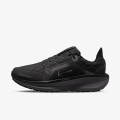 Nike Pantofi Sport W AIR WINFLO 11 GTX 