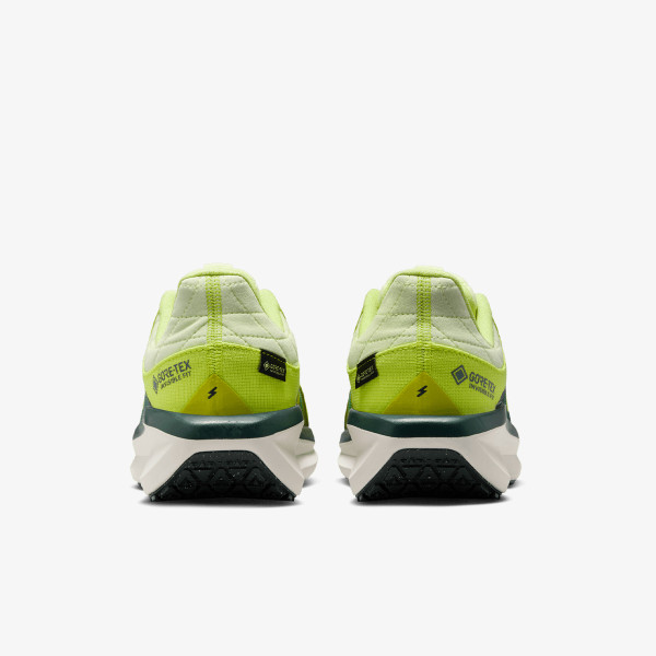 Nike Pantofi Sport W AIR WINFLO 11 GTX 