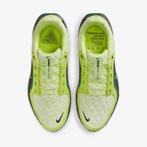 Nike Pantofi Sport W AIR WINFLO 11 GTX 