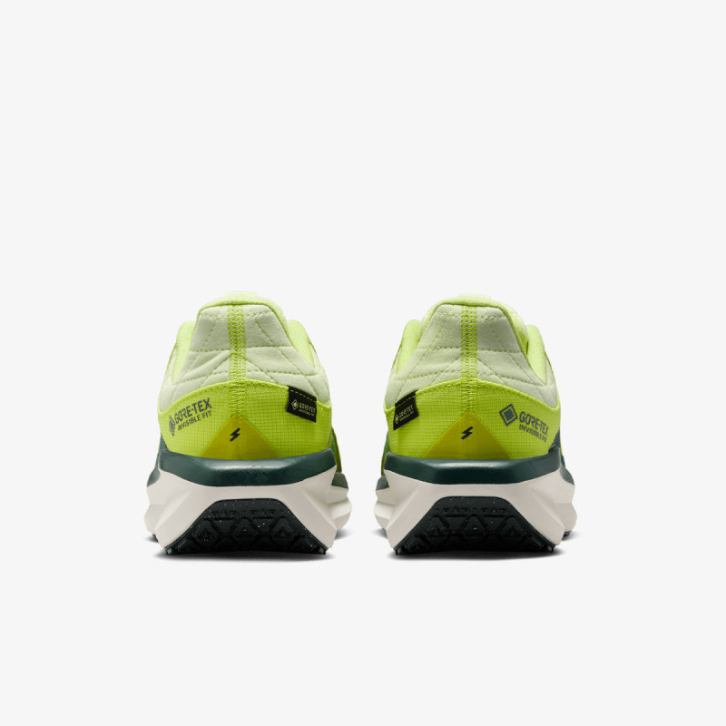 Nike Pantofi Sport W AIR WINFLO 11 GTX 