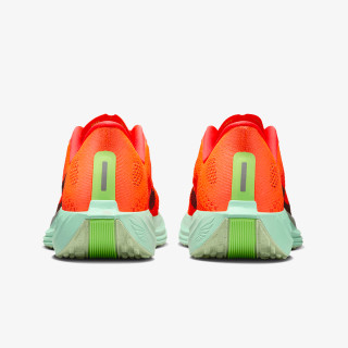 Nike Pantofi Sport PEGASUS PLUS 