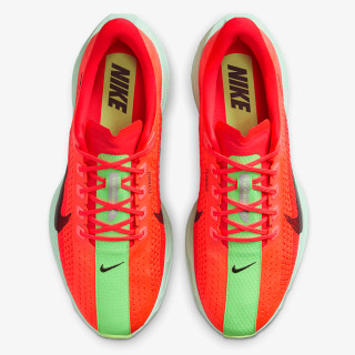 Nike Pantofi Sport PEGASUS PLUS 