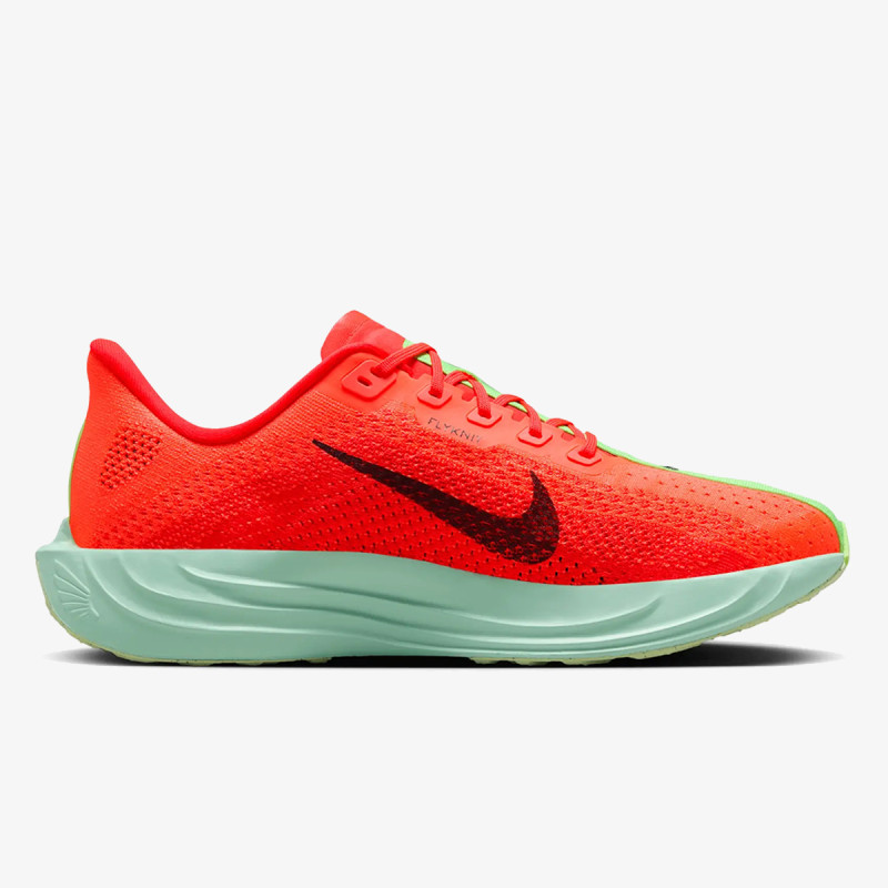 Nike Pantofi Sport PEGASUS PLUS 