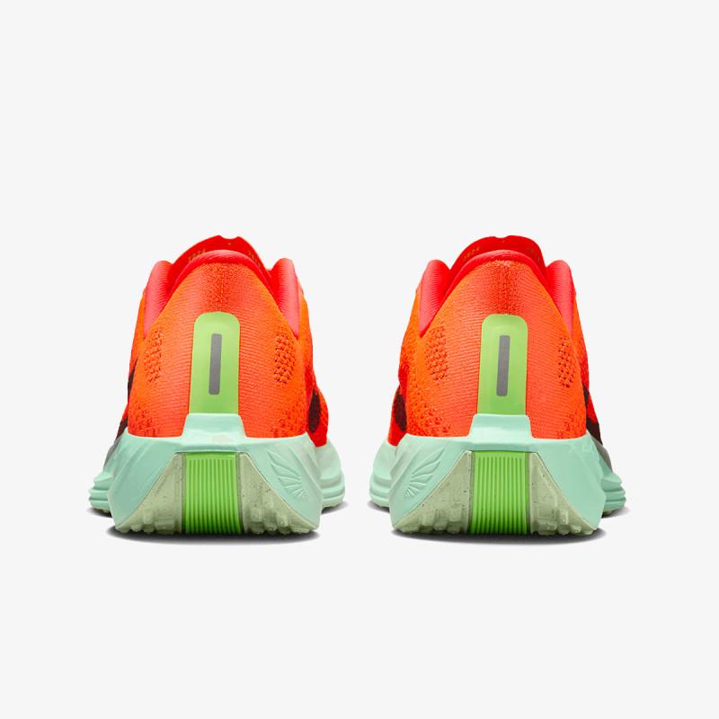 Nike Pantofi Sport PEGASUS PLUS 