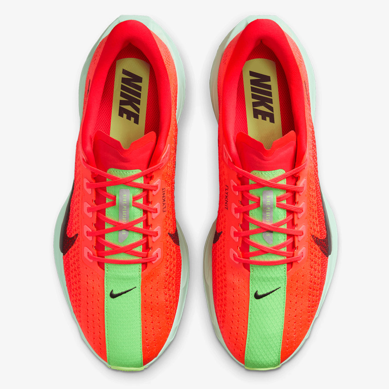 Nike Pantofi Sport PEGASUS PLUS 
