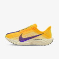 Nike Pantofi Sport Pegasus Plus 
