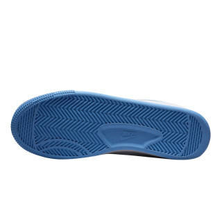 Nike Pantofi Sport Terminator Low University 