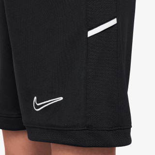 Nike Pantaloni scurti Academy 25 