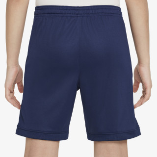 Nike Pantaloni scurti Academy 25 