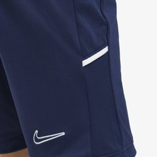 Nike Pantaloni scurti Academy 25 