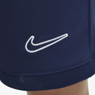 Nike Pantaloni scurti Academy 25 