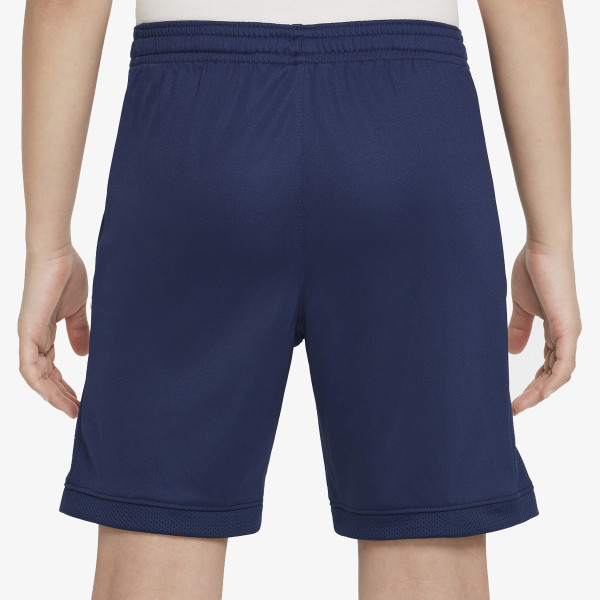 Nike Pantaloni scurti Academy 25 