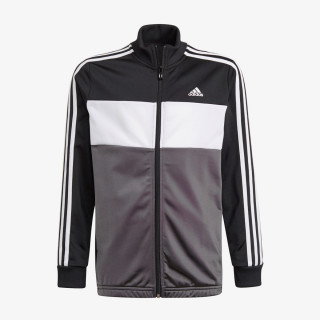 adidas Trening ESSENTIALS TIBERIO