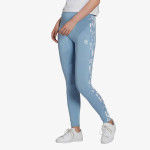 adidas Colanti Tight 