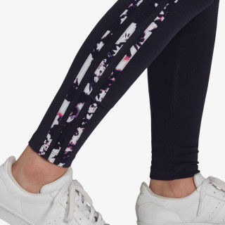 adidas Colanti TIGHTS 