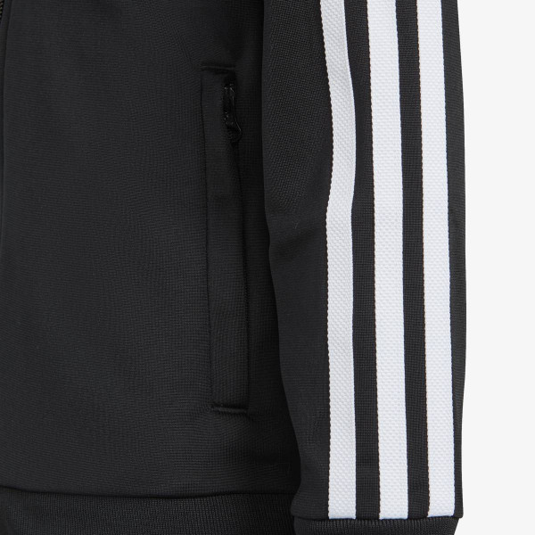 adidas Trening ADICOLOR 