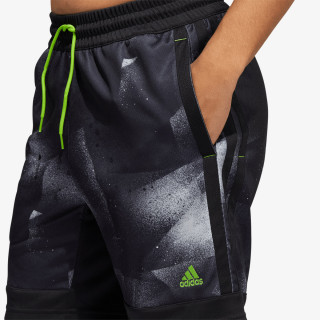 adidas Pantaloni scurti DON MITCHELL 