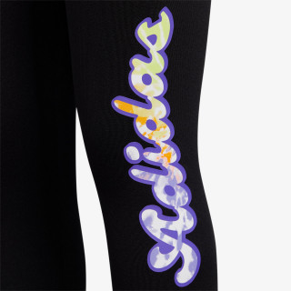 adidas Colanti SUM TIGHTS 