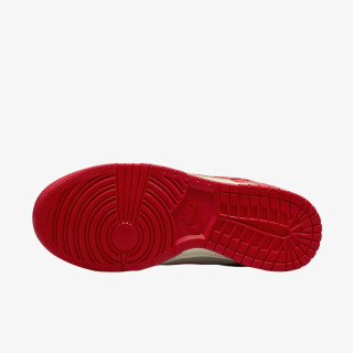Nike Pantofi Sport W NIKE DUNK LOW SE TRND 