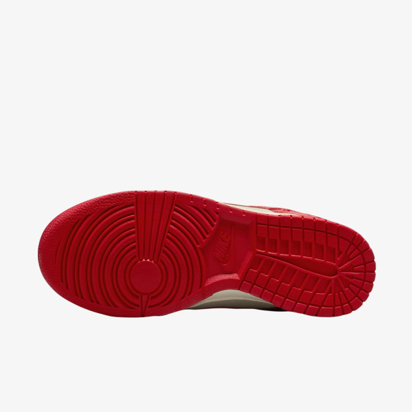 Nike Pantofi Sport W NIKE DUNK LOW SE TRND 
