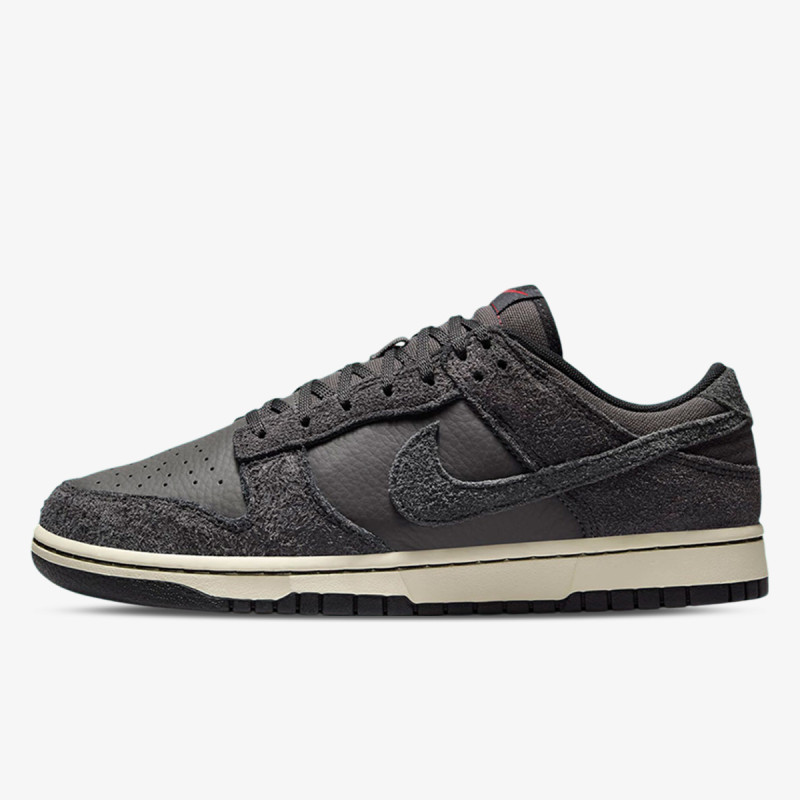 Nike Pantofi Sport NIKE DUNK LOW RETRO PRM 