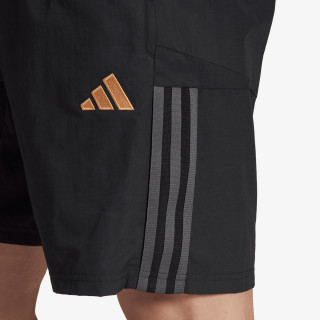 adidas Pantaloni scurti DFB DT SHO 