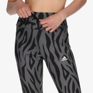 adidas Colanti TIGER PRINT 