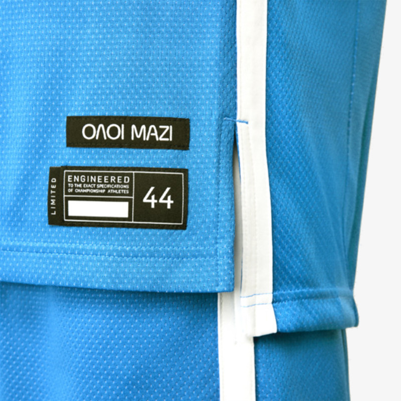 Nike Tricou echipe GRE M NK LMTD JSY RD NN OLY24 