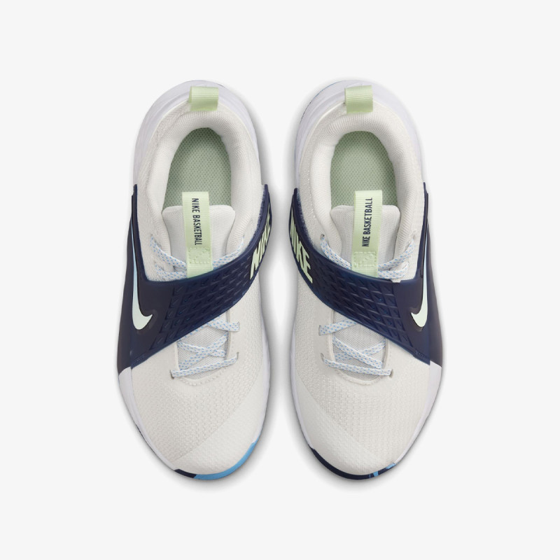 Nike Pantofi Sport TEAM HUSTLE D 12 GS 