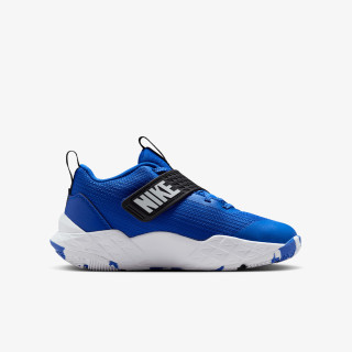 Nike Pantofi Sport TEAM HUSTLE D 12 GS 