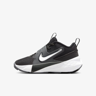Nike Pantofi Sport TEAM HUSTLE D 12 PS 