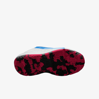 Nike Pantofi Sport TEAM HUSTLE D 12 PS 