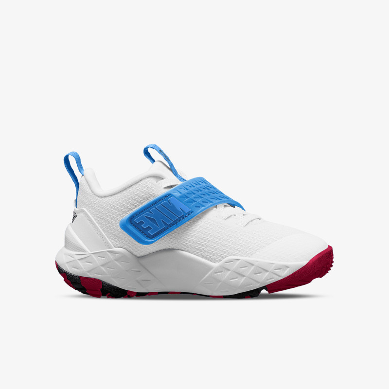 Nike Pantofi Sport TEAM HUSTLE D 12 PS 