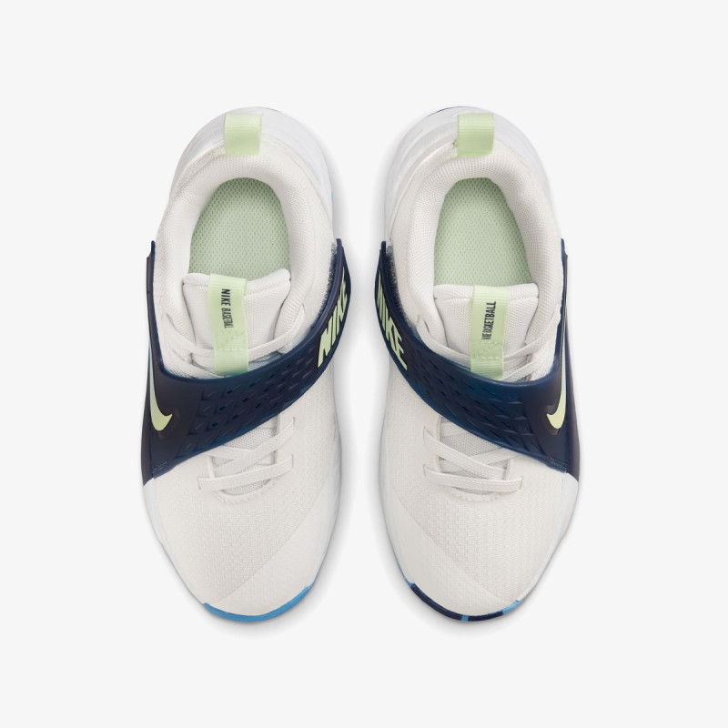 Nike Pantofi Sport TEAM HUSTLE D 12 PS 