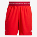 adidas Pantaloni scurti Donovan Mithcell 