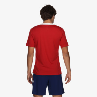 Nike Tricou PSG M NK DF STRK SS TOP K 4TH 