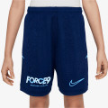 Nike Pantaloni scurti Dri-FIT 