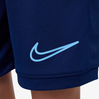Nike Pantaloni scurti Dri-FIT 