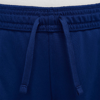 Nike Pantaloni scurti Dri-FIT 