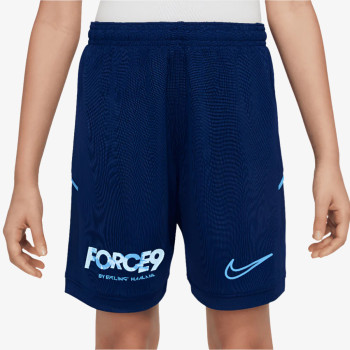 Nike Pantaloni scurti Dri-FIT 