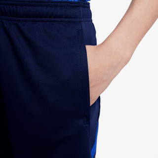 Nike Pantaloni scurti PSG Y NK DF STRK SHORT KZ 