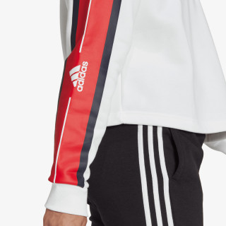 adidas Hanorac Essentials 