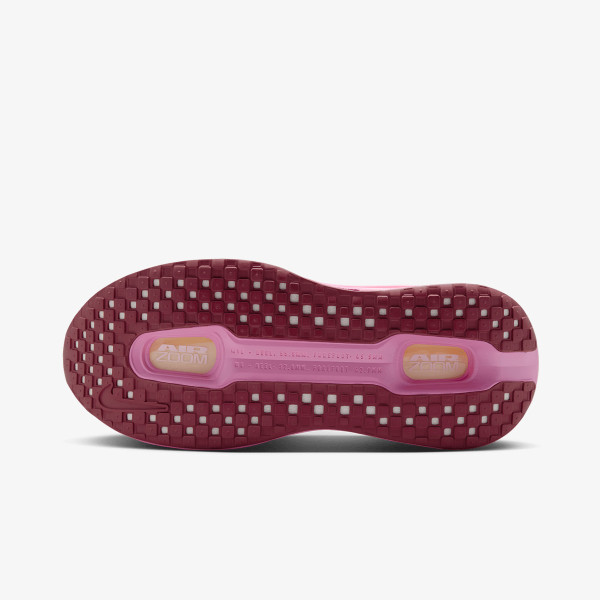 Nike Pantofi Sport W NIKE VOMERO PREMIUM 